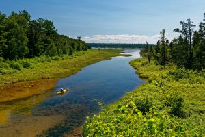 Wisconsin forest and river.