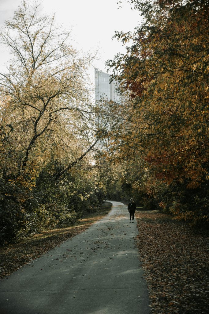 Photo by Quang Vuong: https://www.pexels.com/photo/scenic-autumn-pathway-in-milwaukee-s-fall-foliage-29087506/