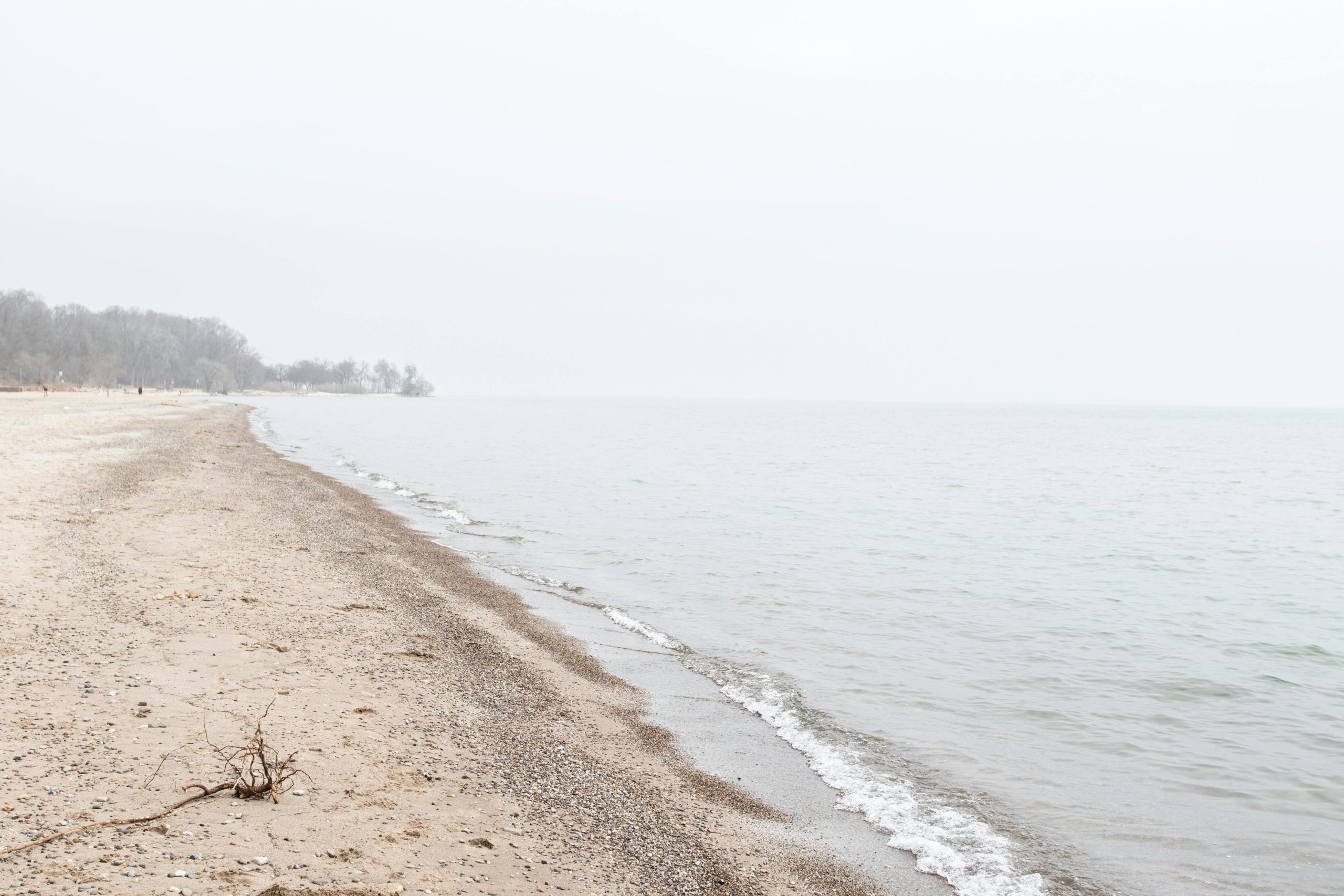 Lake Beach Swim