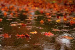 Western Wisconsin Weather Now: Light Rain Possible This Weekend