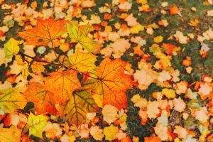 Southeast Wisconsin Weather Now: Fog and Warm Conditions Ahead