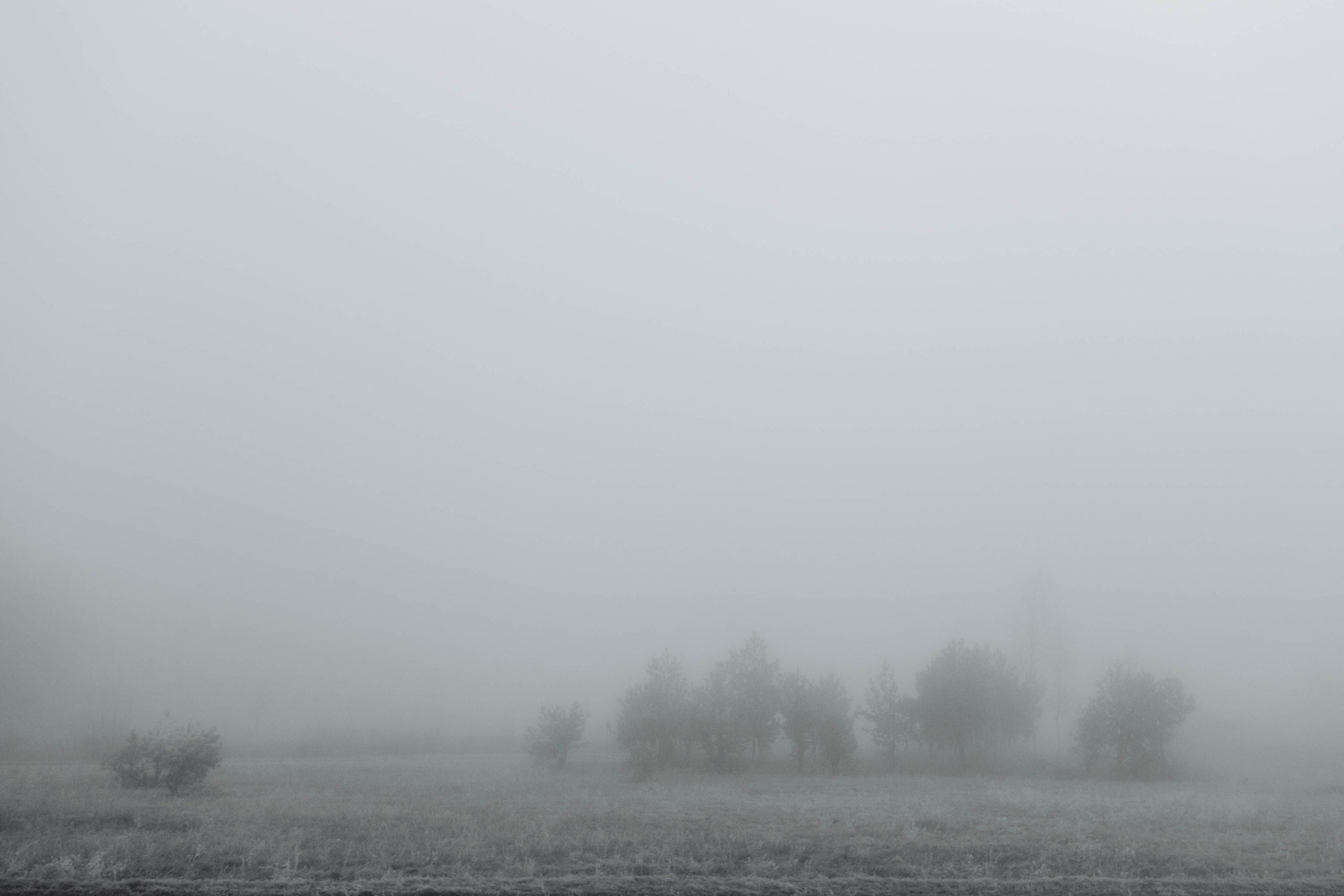 Fog Foggy Wisconsin